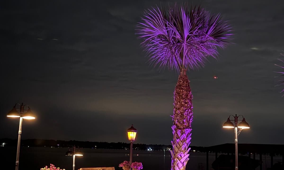 Photo of Outdoor in Atascocita