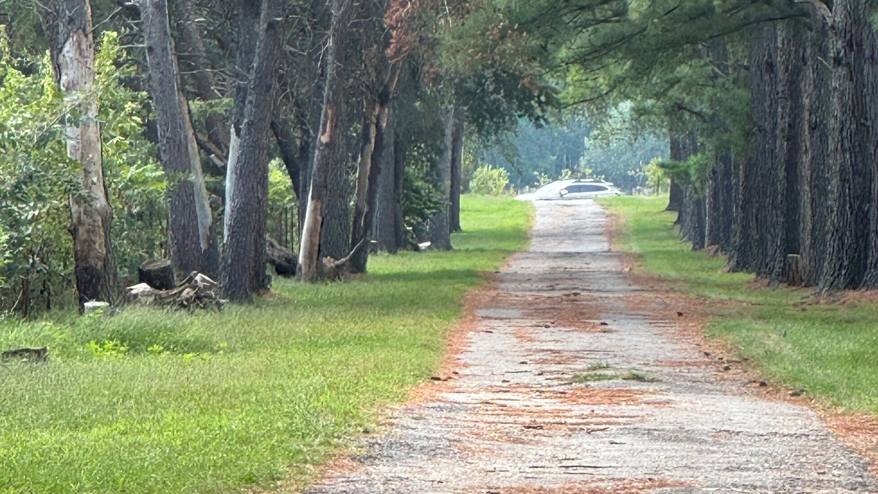 Photo of Others in Fayetteville