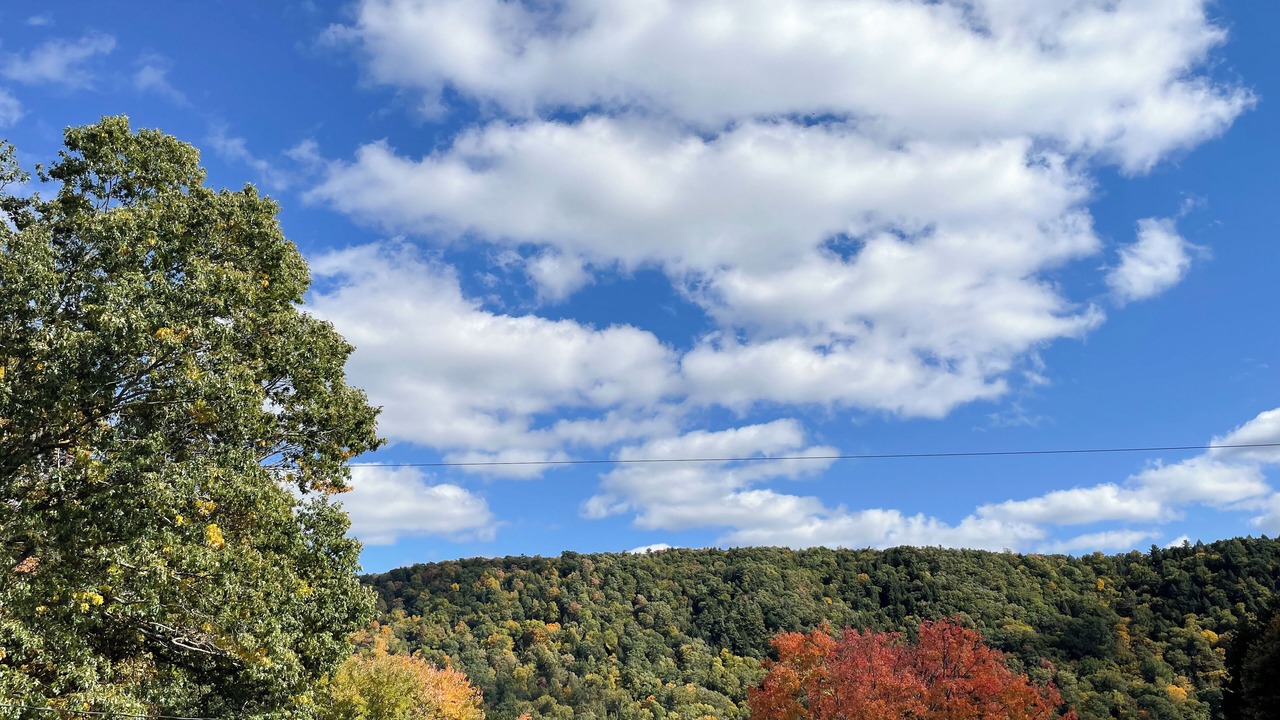 Photo of Others in West Hickory