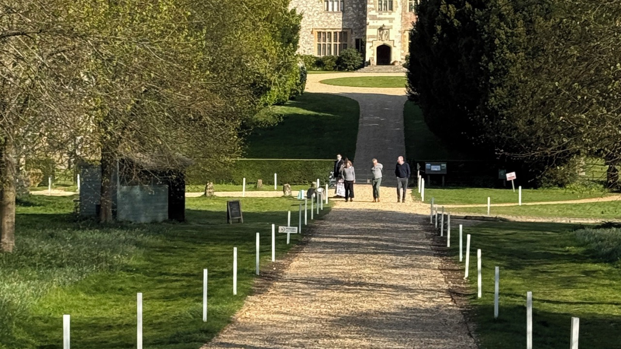 Photo of Others in Selborne