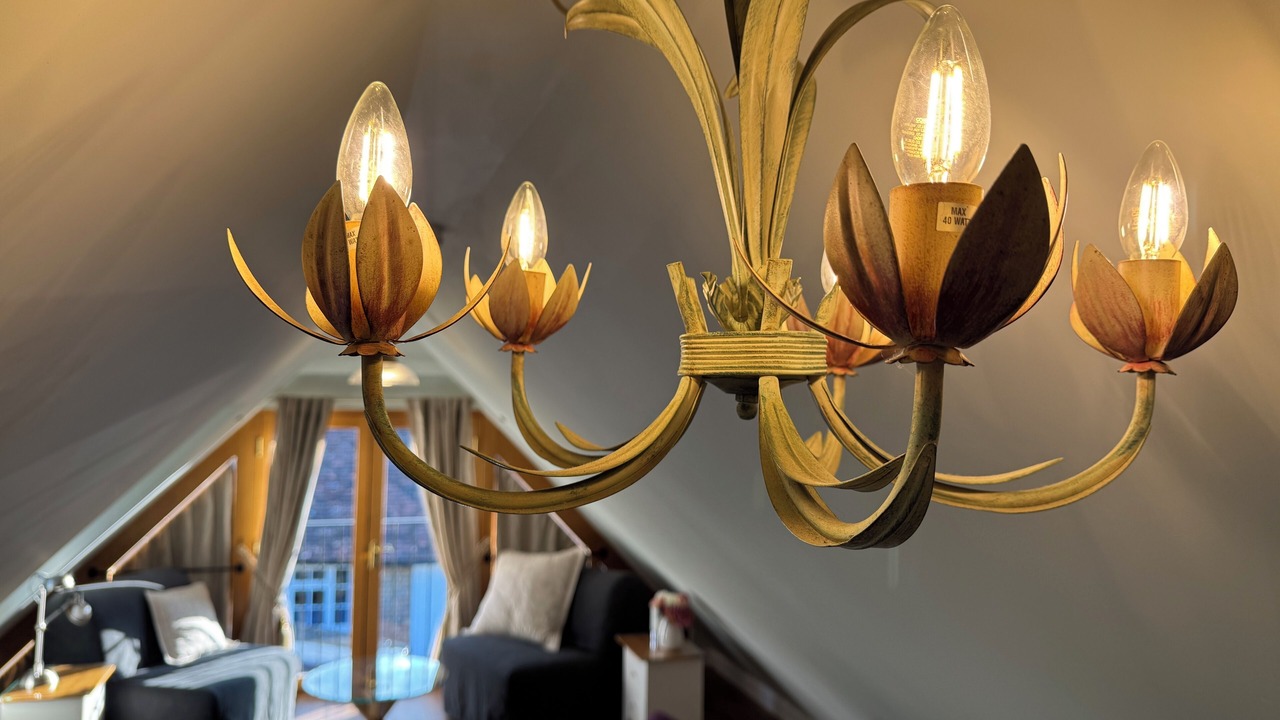 Photo of Others in Selborne