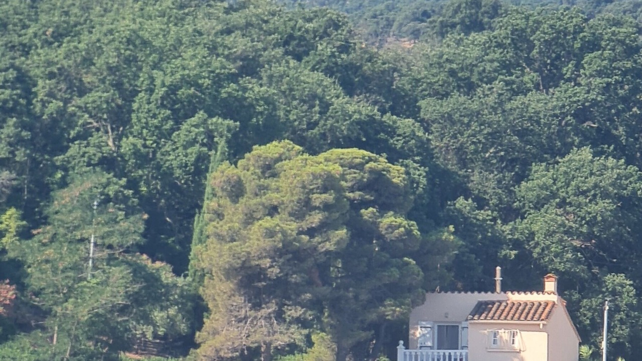 Photo of Others in Plage d'Argeles