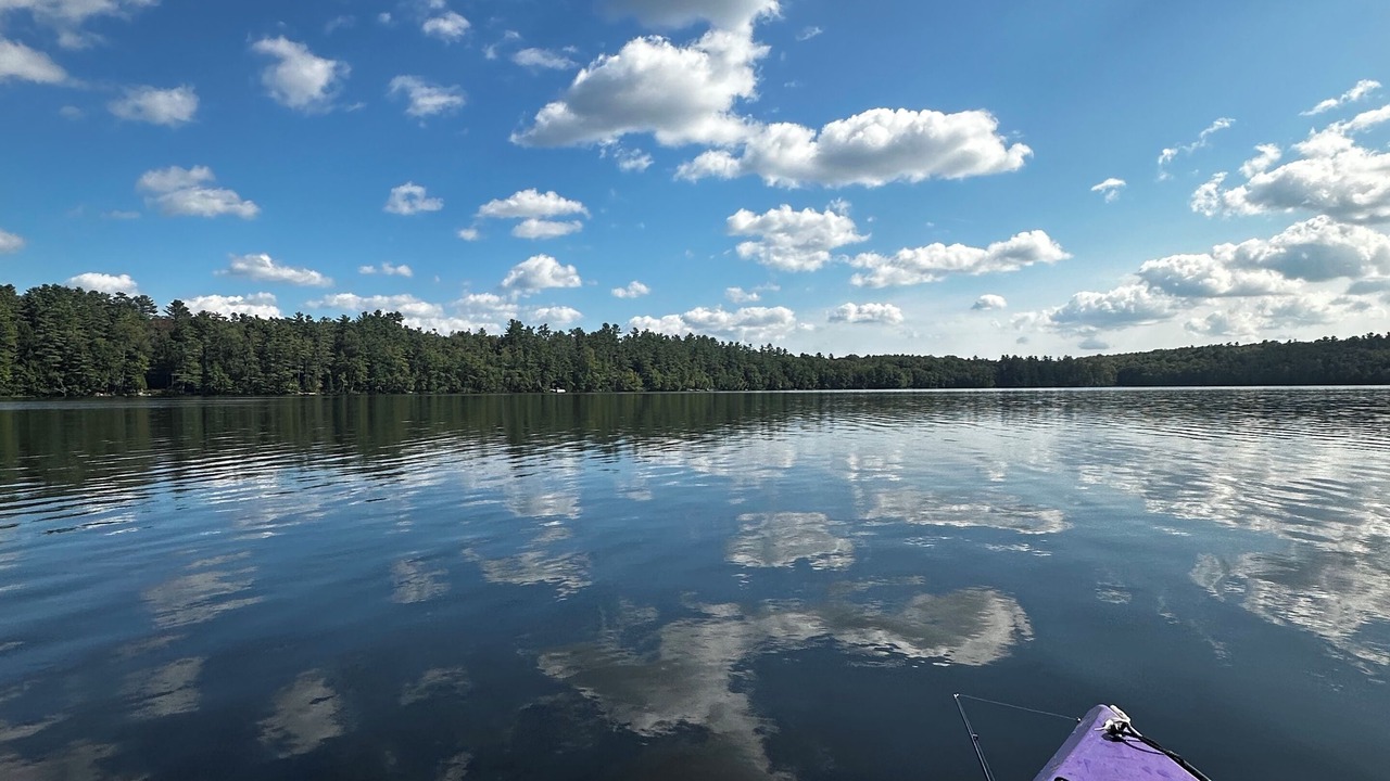 Photo of Others in Washington
