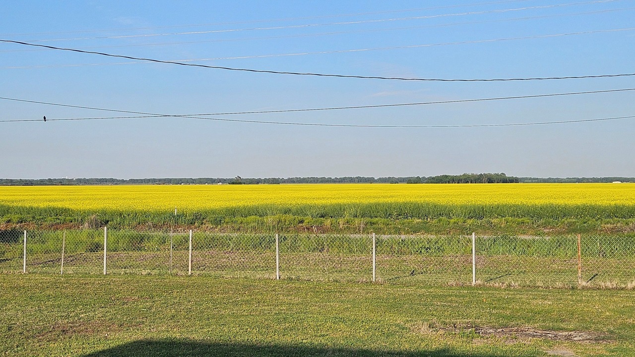Photo of Others in Blytheville