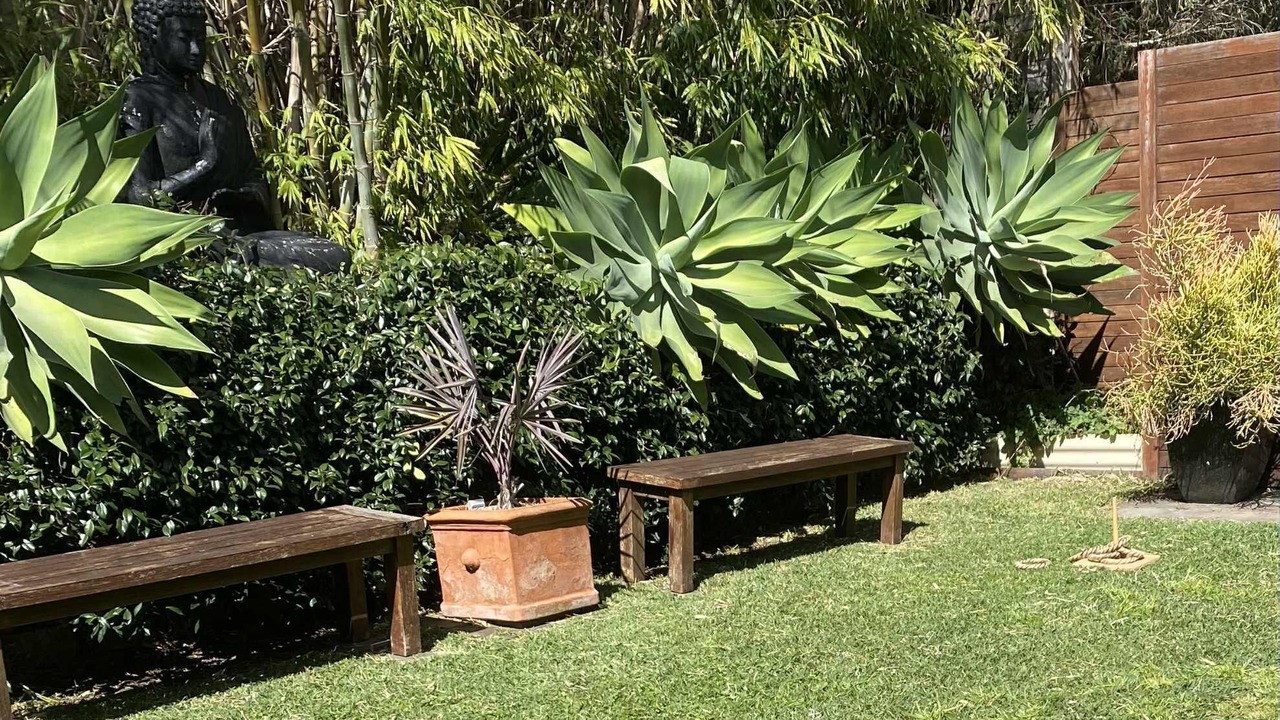 Photo of Outdoor in Kiama