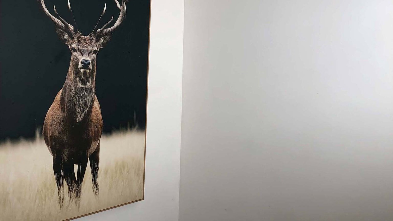 Photo of Bedroom in Kiama