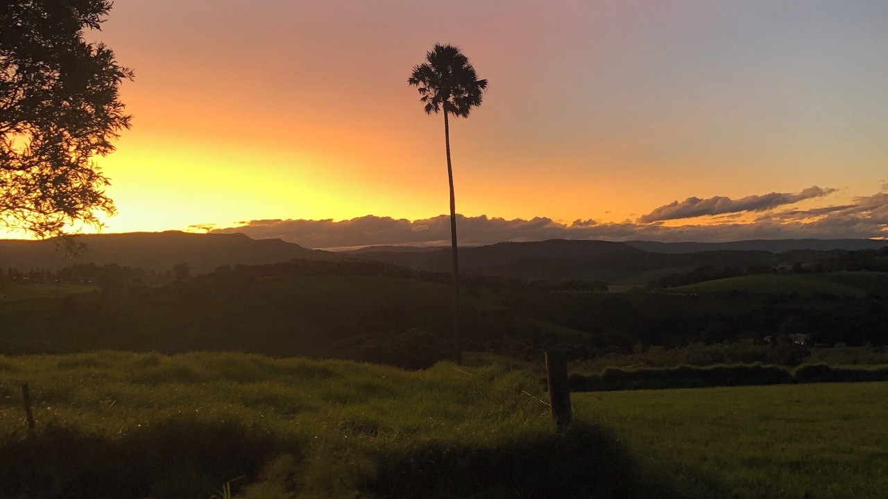 Photo of Others in Kiama