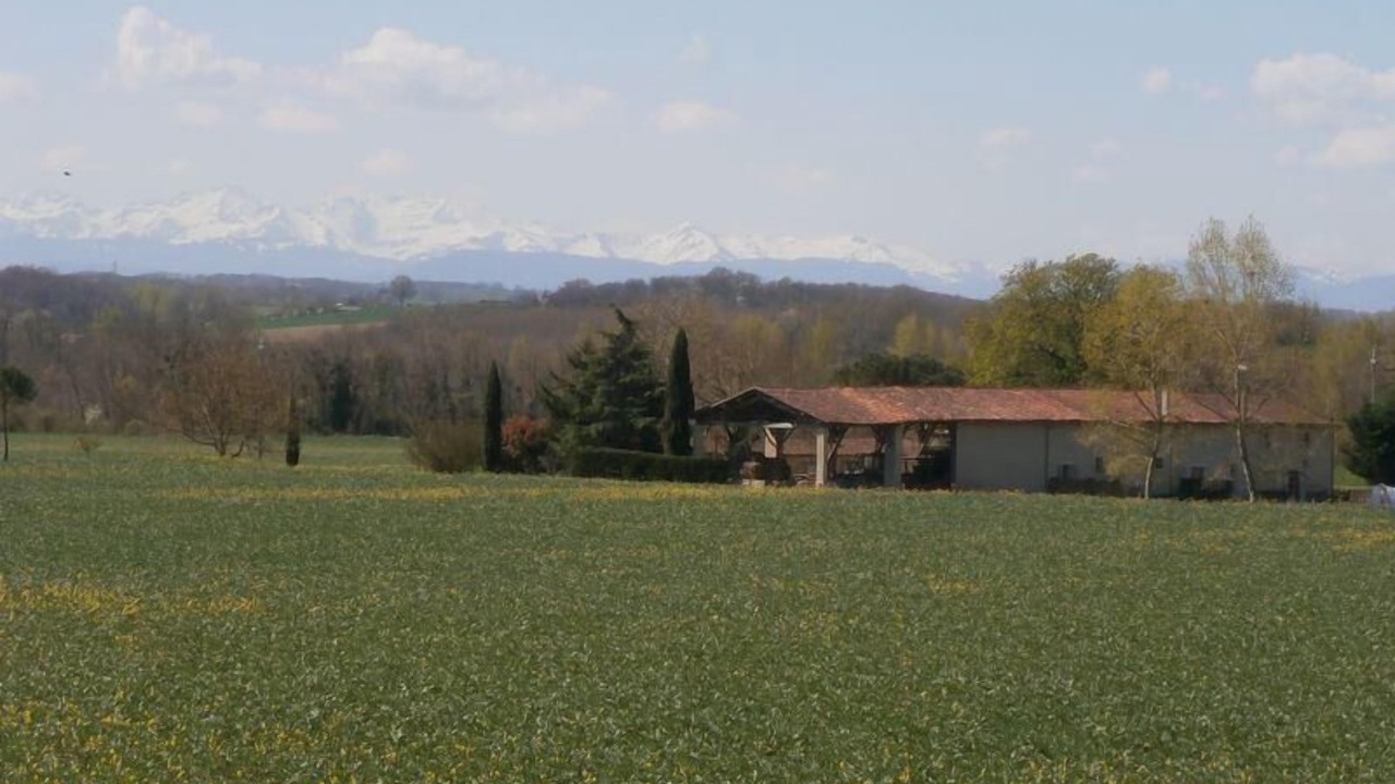 Photo of Others in Montesquieu-Volvestre