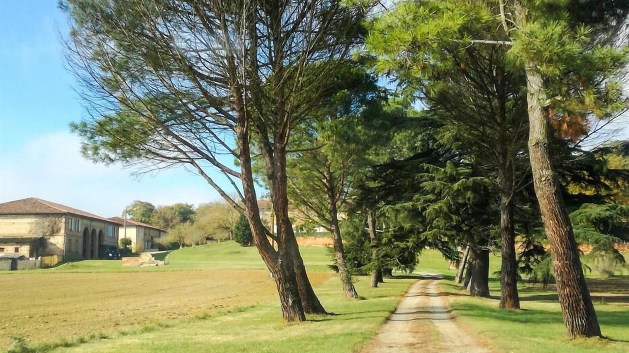 Photo of Others in Pibrac