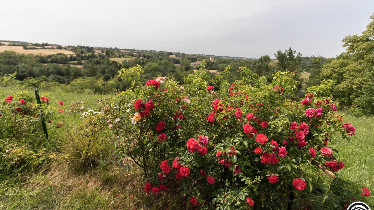 Photo of Outdoor in Auriac-sur-Vendinelle