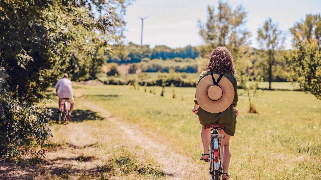 Photo of Others in Montegut-Lauragais