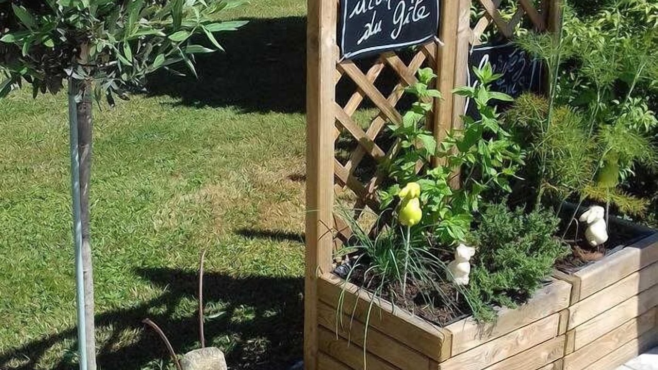Photo of Outdoor in Soueich