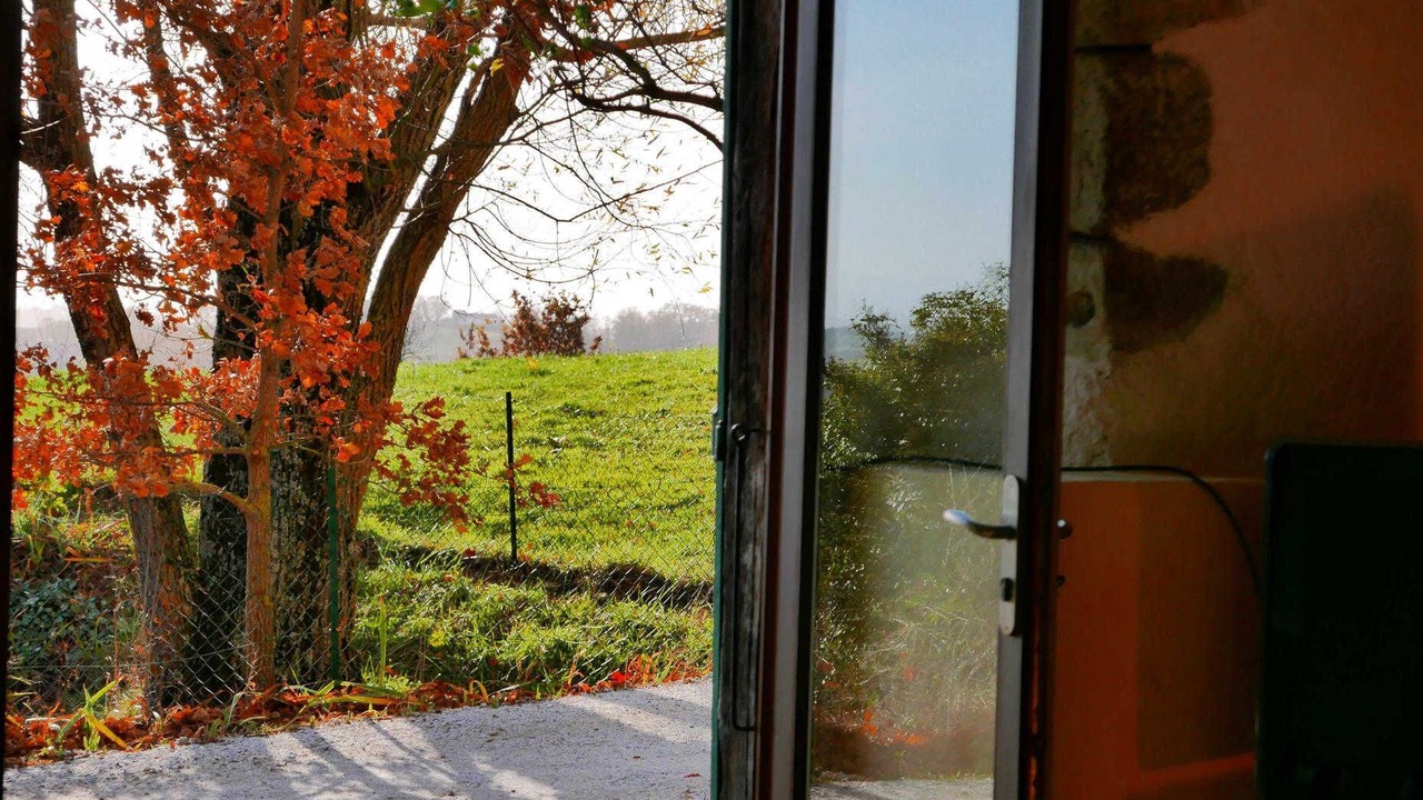 Photo of Others in Gaillac-Toulza