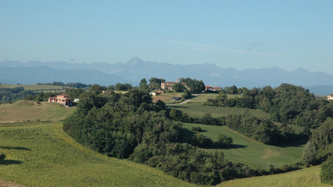 Photo of Others in Gaillac-Toulza