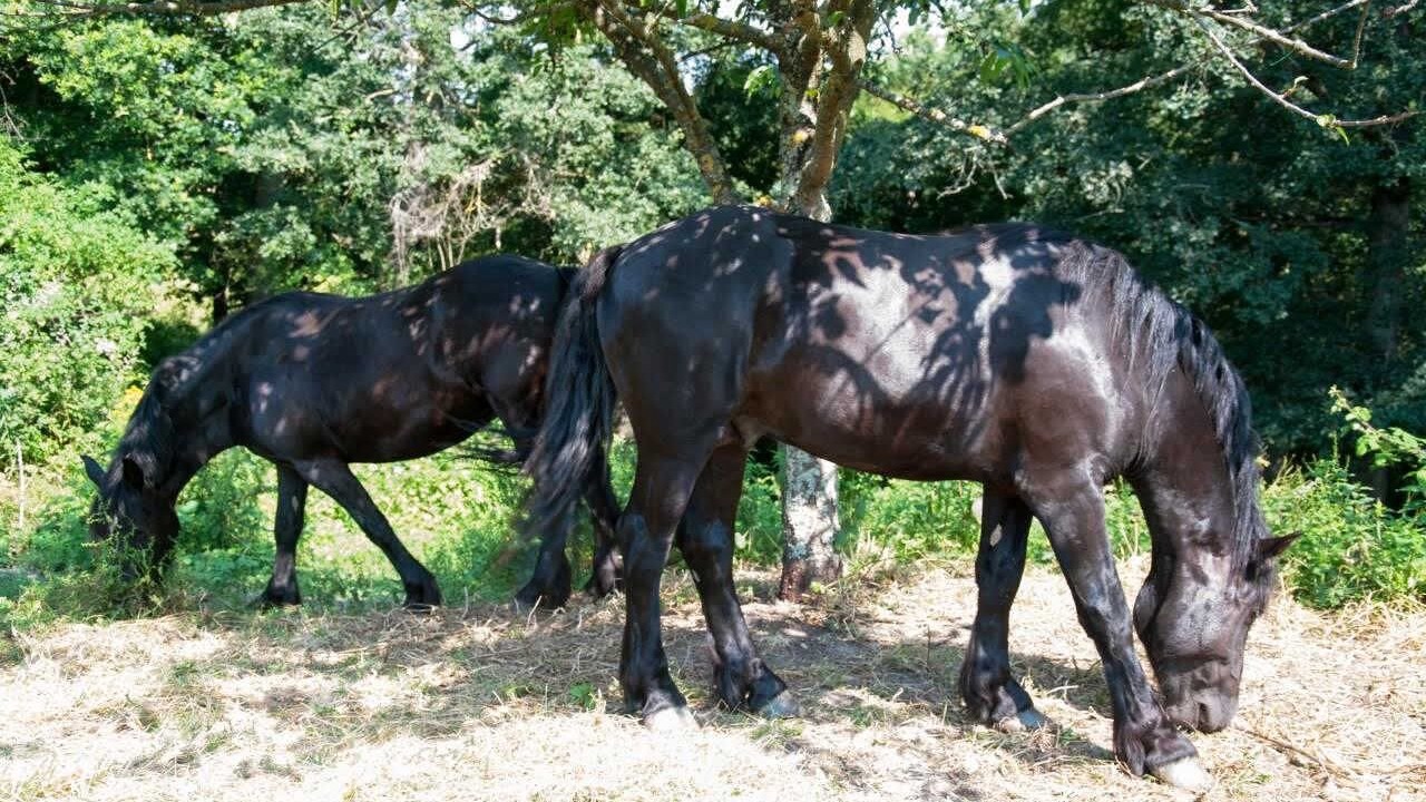 Photo of Others in Gaillac-Toulza