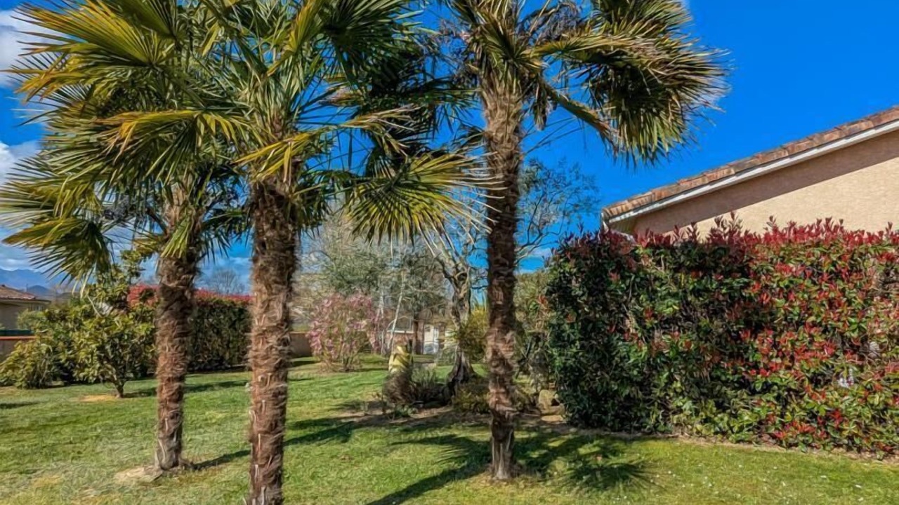 Photo of Outdoor in Villeneuve-de-Riviere