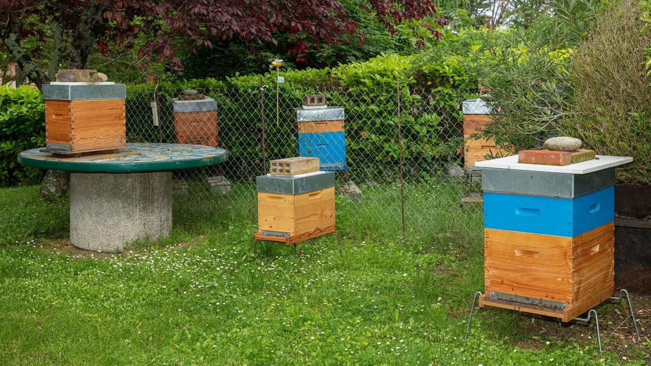 Photo of Outdoor in Montegut-Lauragais