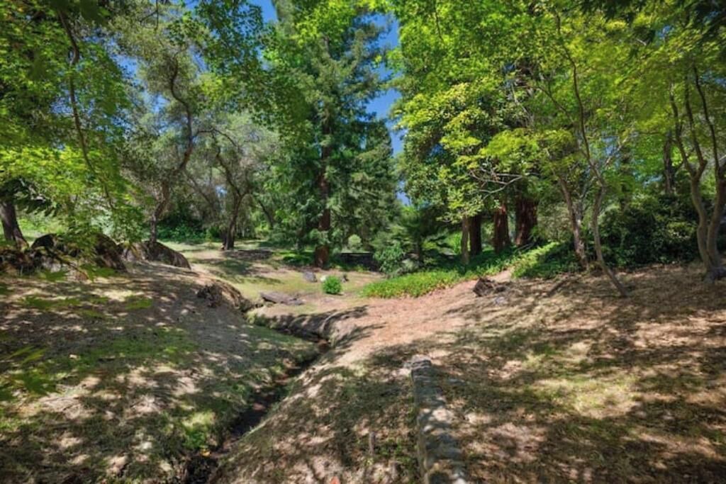 Photo of Others in Granite Bay