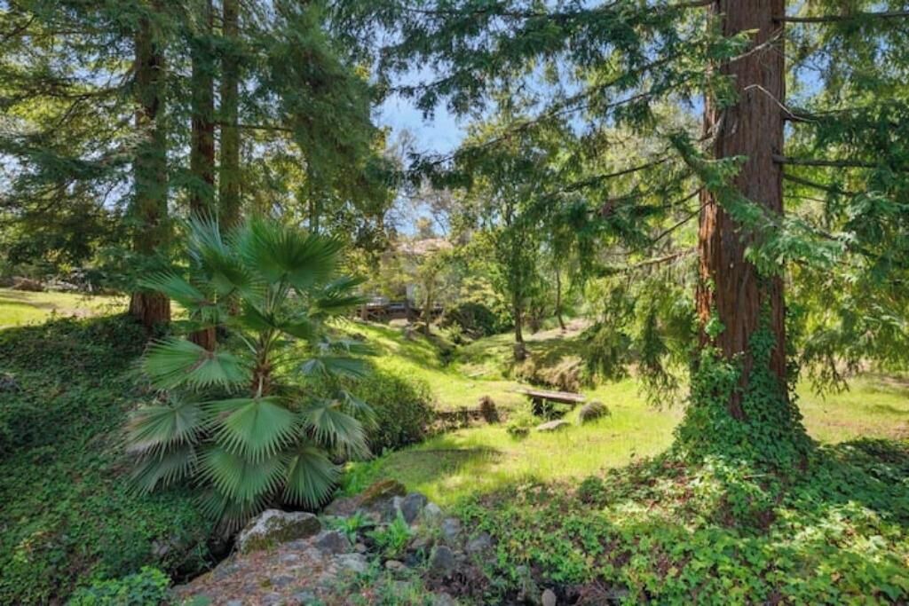 Photo of Outdoor in Granite Bay