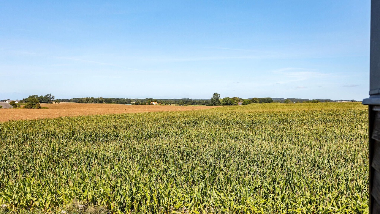 Photo of Bedroom in Faaborg
