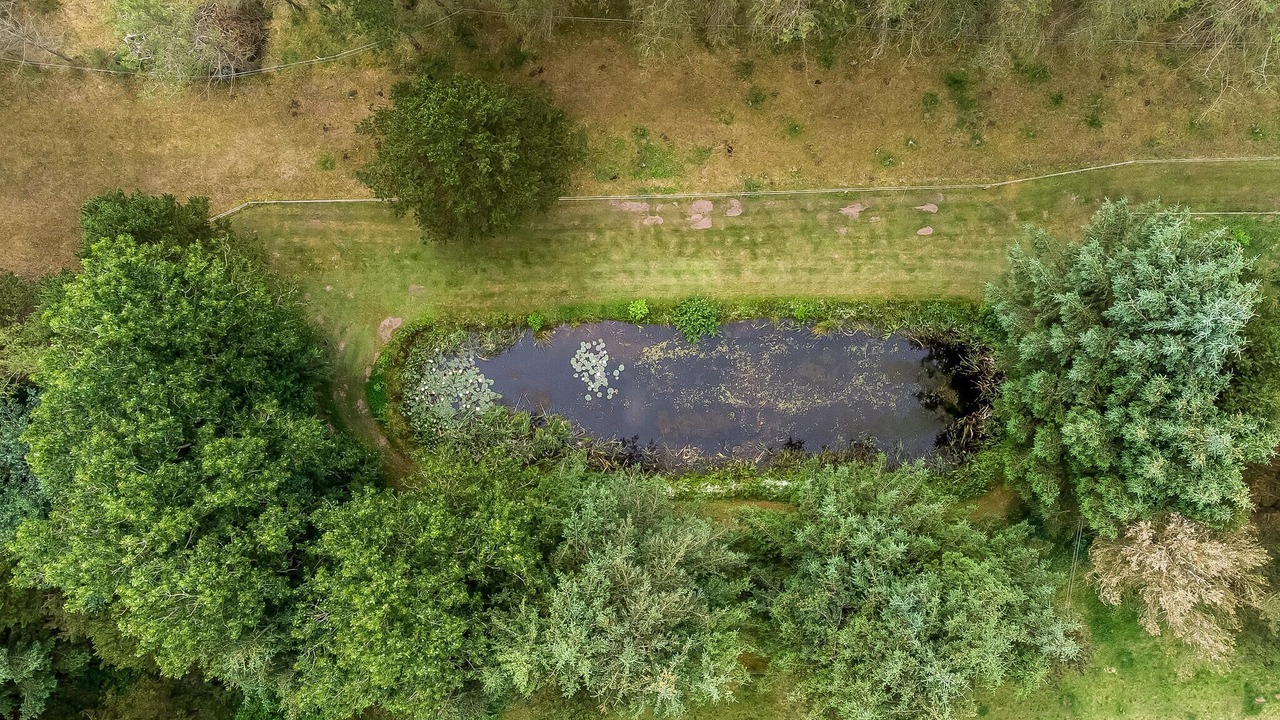 Photo of Others in Dokkedal