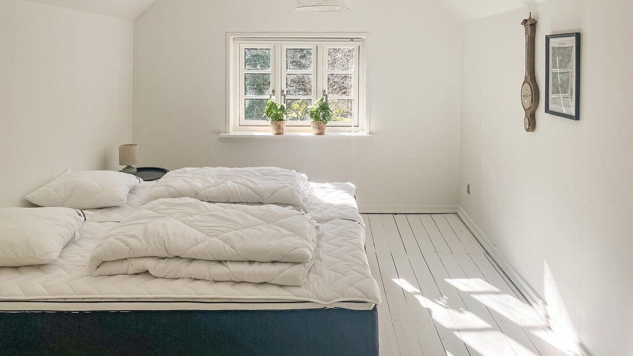 Photo of Others in Dokkedal