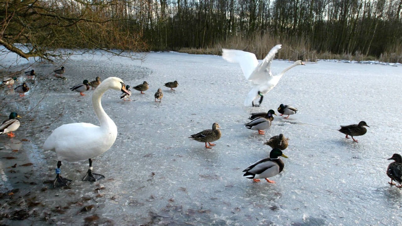 Photo of Others in Gentofte