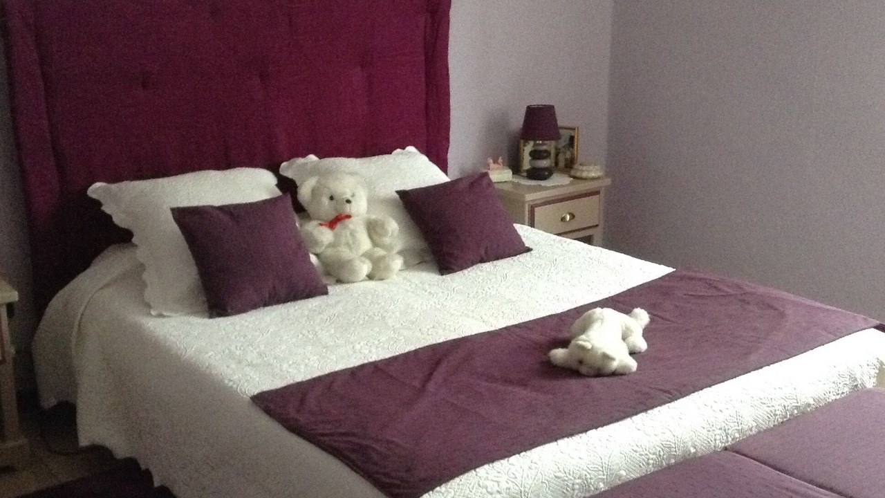 Photo of Bedroom in Dax