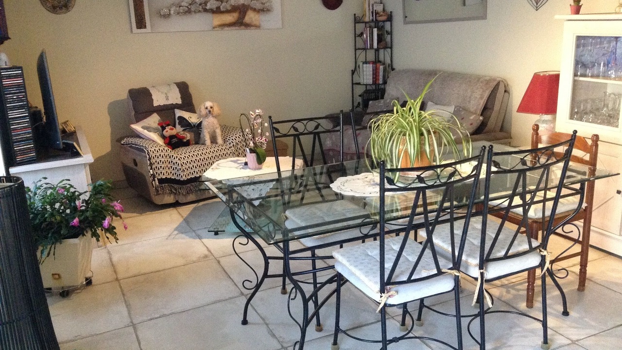 Photo of Livingroom in Dax