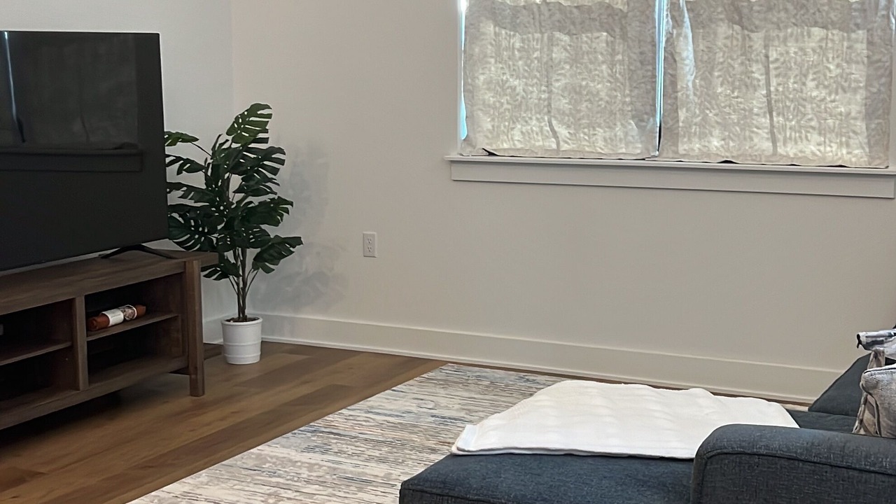 Photo of Livingroom in Mueller