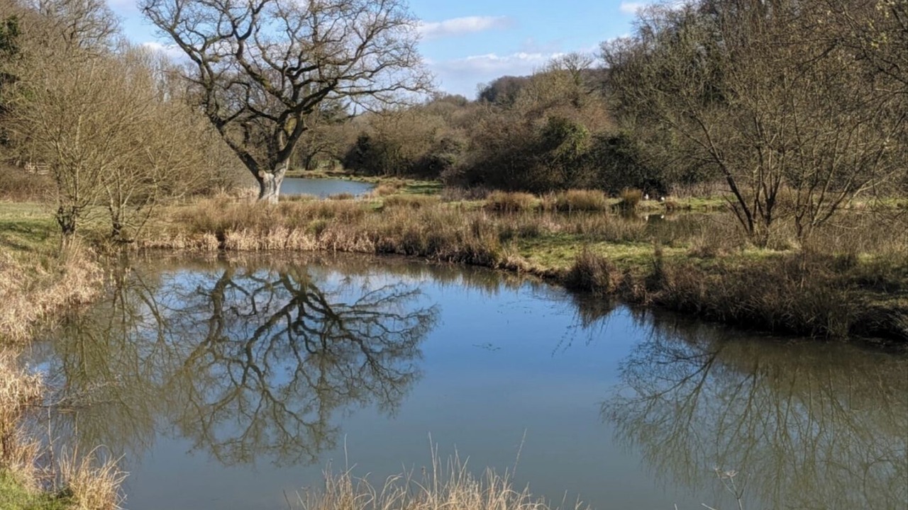 Photo of Others in Alton