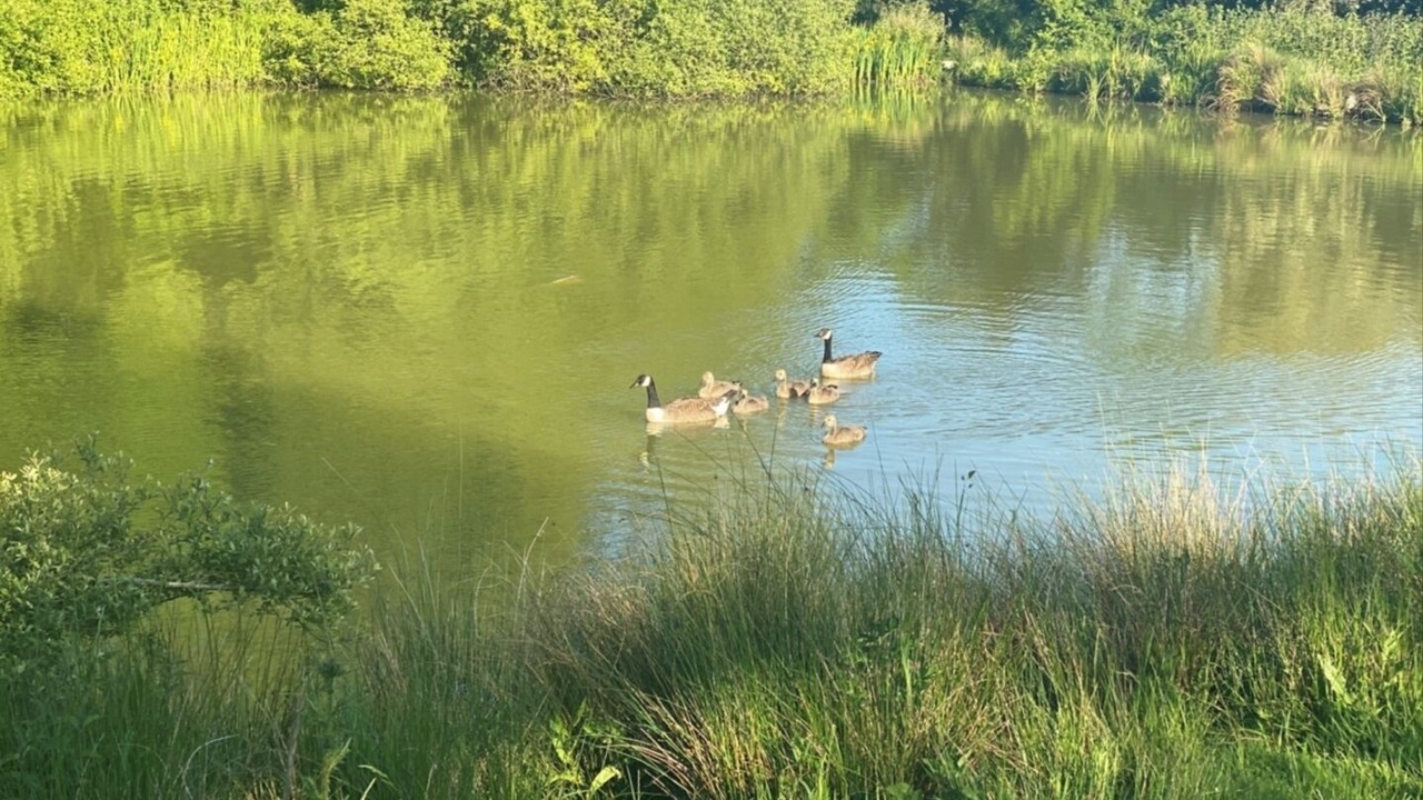 Photo of Others in Alton