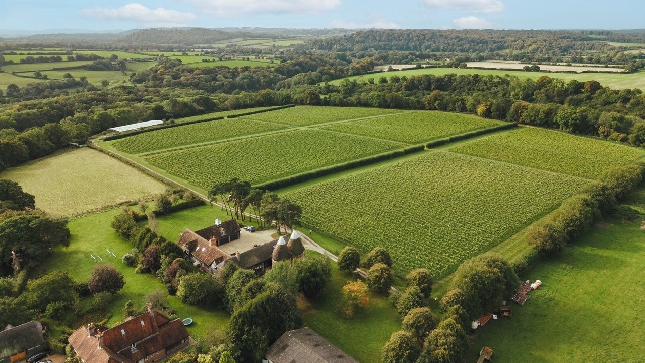 Photo of Outdoor in Alton