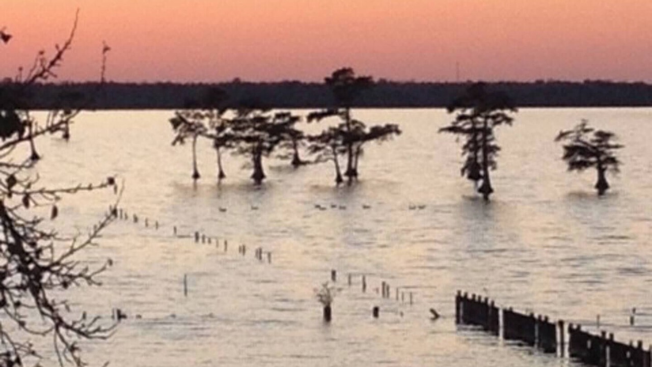 Photo of Others in Albemarle Beach