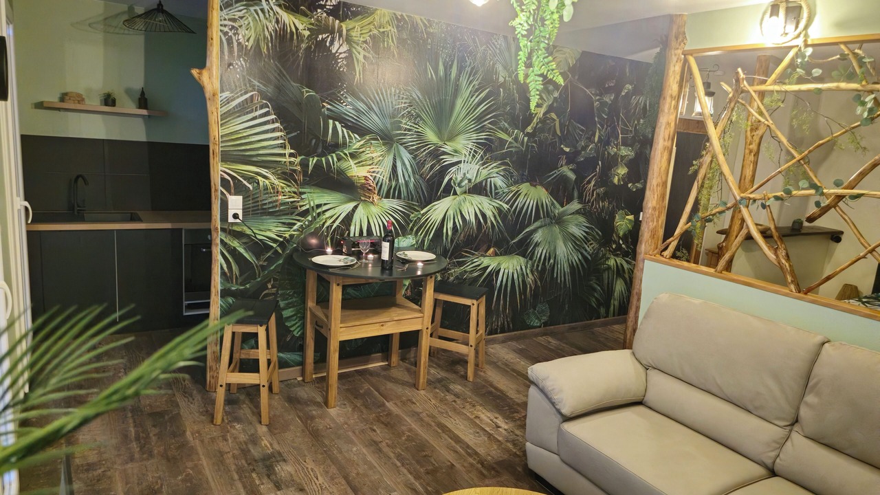 Photo of Livingroom in Chateauroux