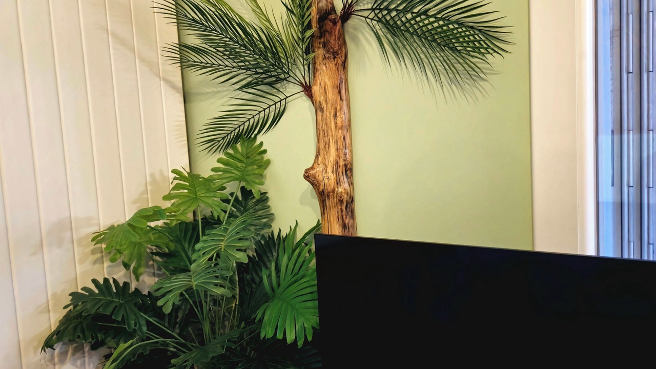 Photo of Others in Chateauroux