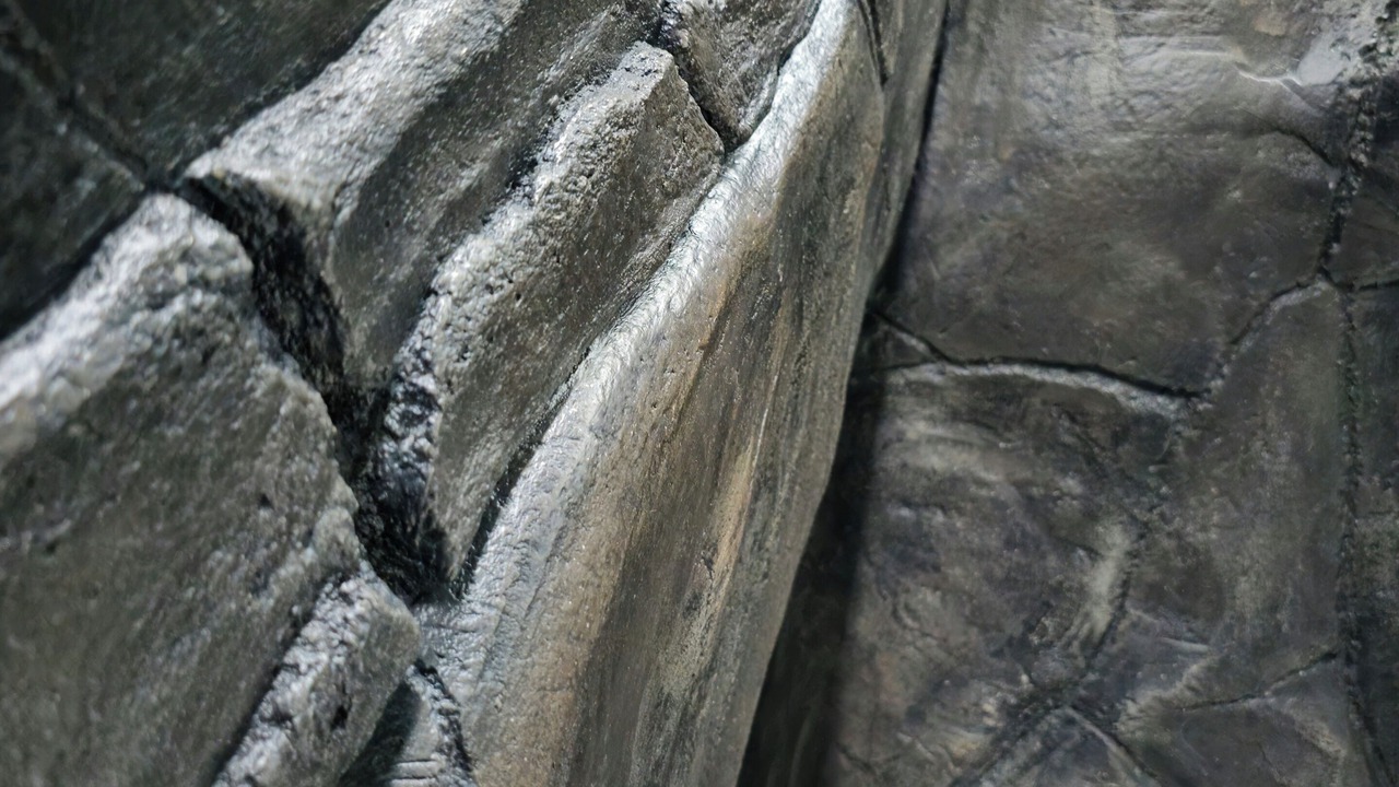 Photo of Others in Chateauroux