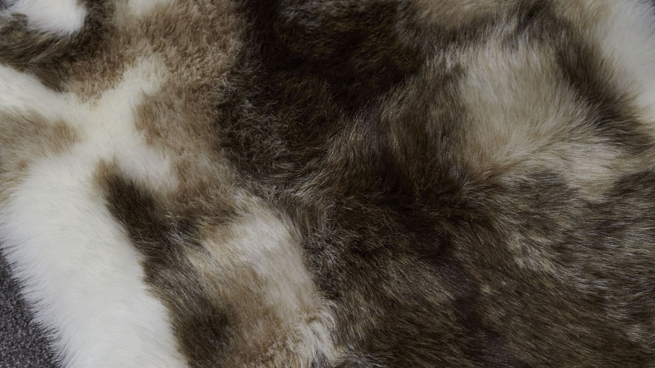 Photo of Others in Bradford