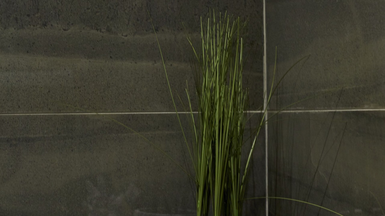 Photo of Bathroom in Bradford