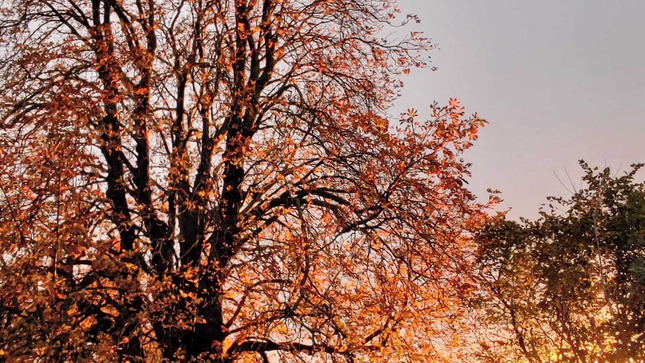 Photo of Others in Bevillers