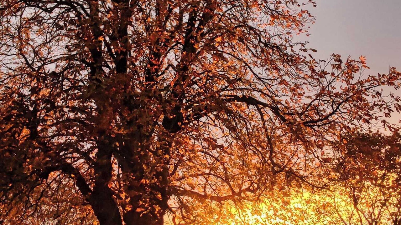 Photo of Others in Bevillers