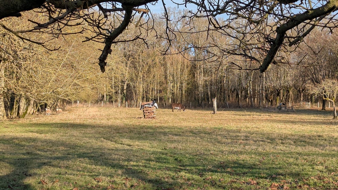 Photo of Others in Bucy-Saint-Liphard
