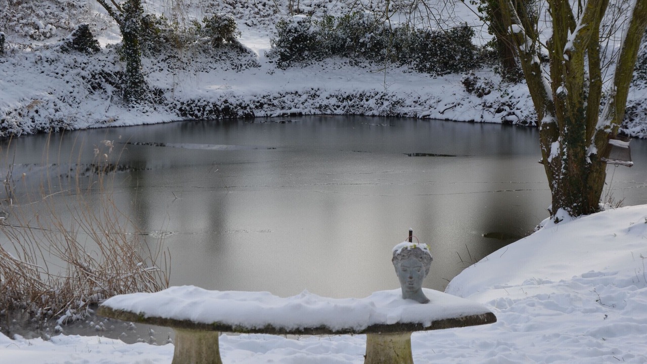 Photo of Others in Chilleurs-aux-Bois