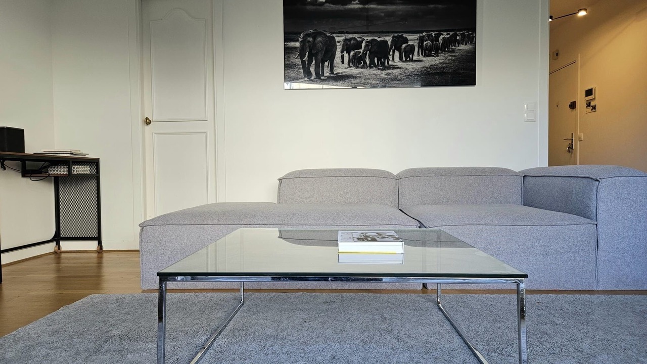 Photo of Livingroom in Passy