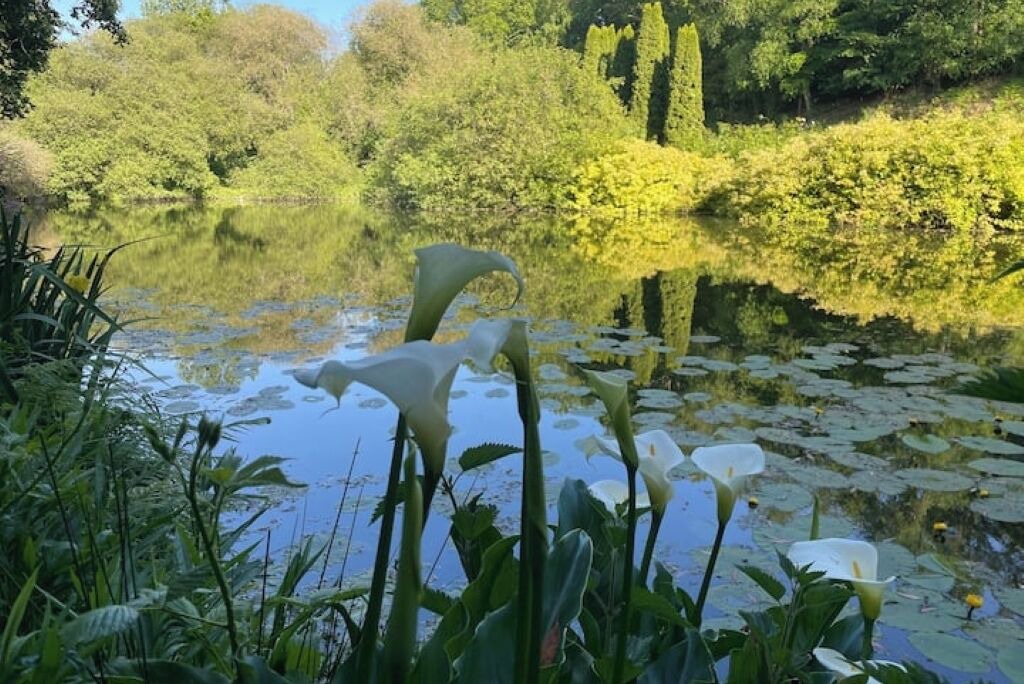 Photo of Others in Ploeuc-l'Hermitage