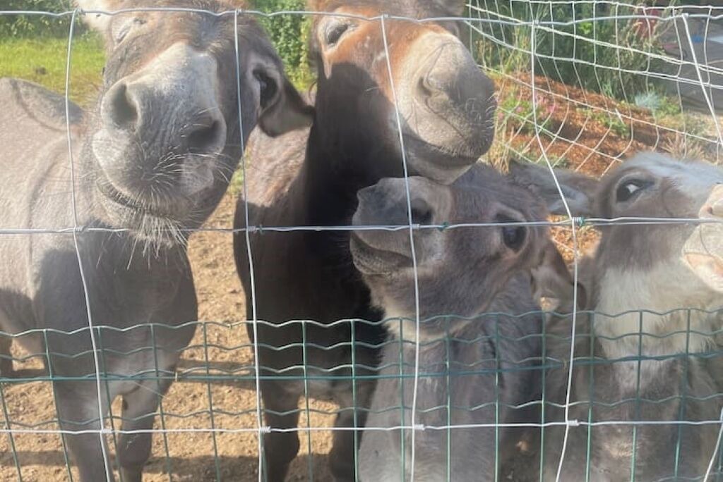 Photo of Others in Ploeuc-l'Hermitage