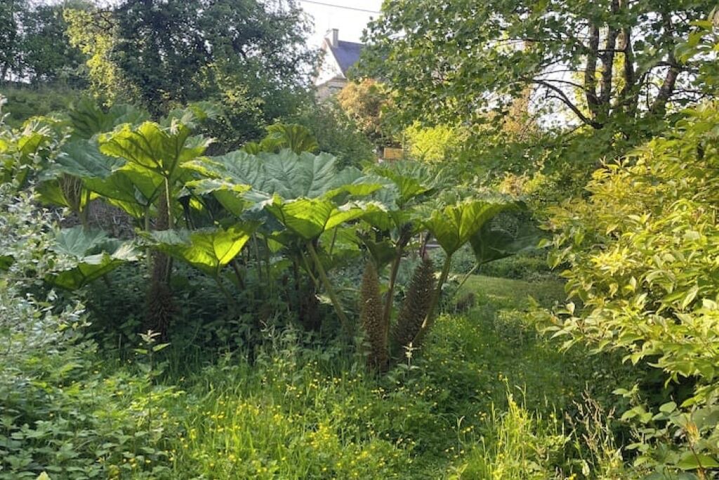 Photo of Outdoor in Ploeuc-l'Hermitage