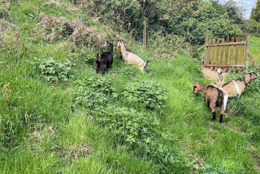 Photo of Others in Ploeuc-l'Hermitage