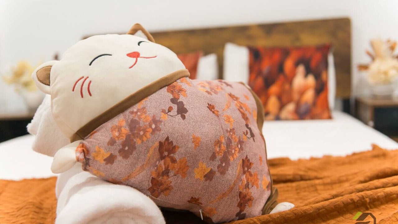 Photo of Others in Brisbane