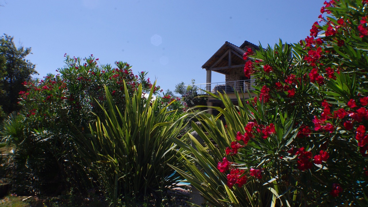 Photo of Outdoor in Pampelonne